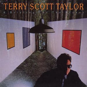 Terry Scott Taylor